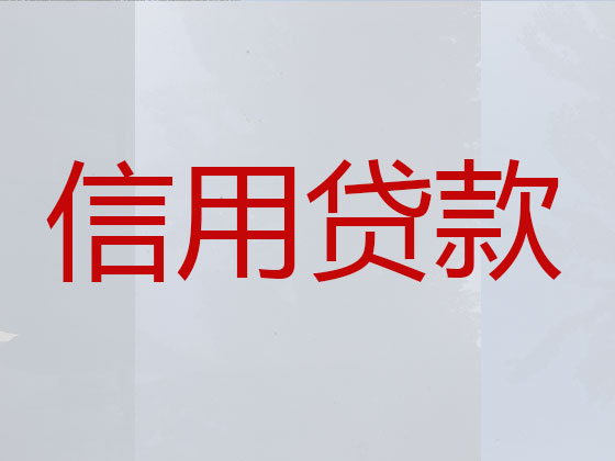 平度市正规贷款公司